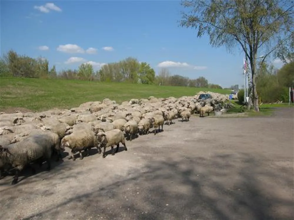 Camping Land an der Elbe bei Hamburg