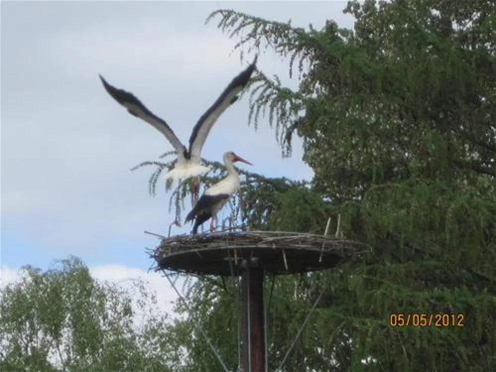 Camping Land an der Elbe bei Hamburg
