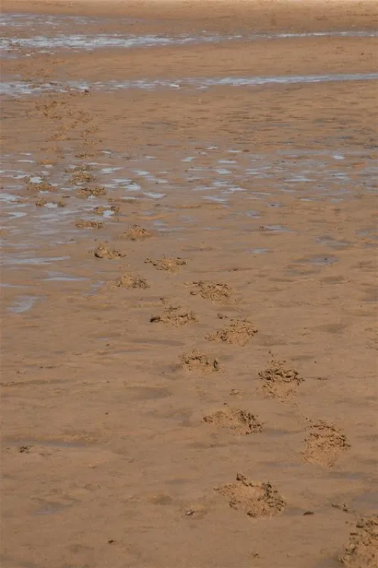 Camping Land an der Elbe bei Hamburg