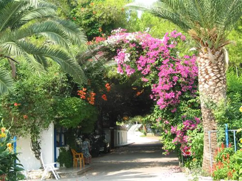 Campsite Aginara Beach