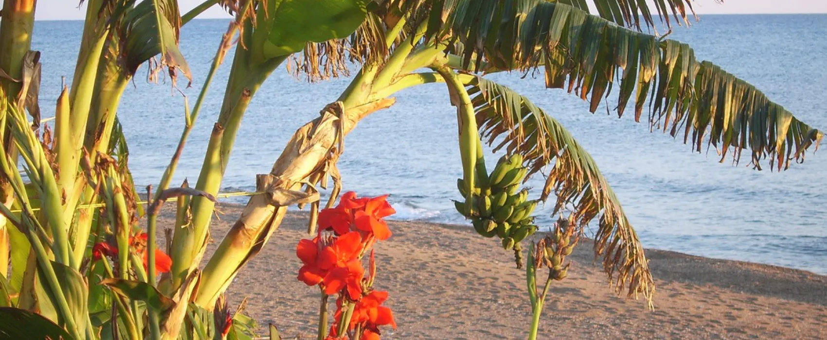 Campsite Aginara Beach