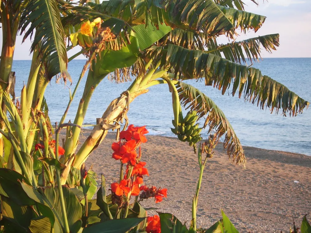 Campsite Aginara Beach
