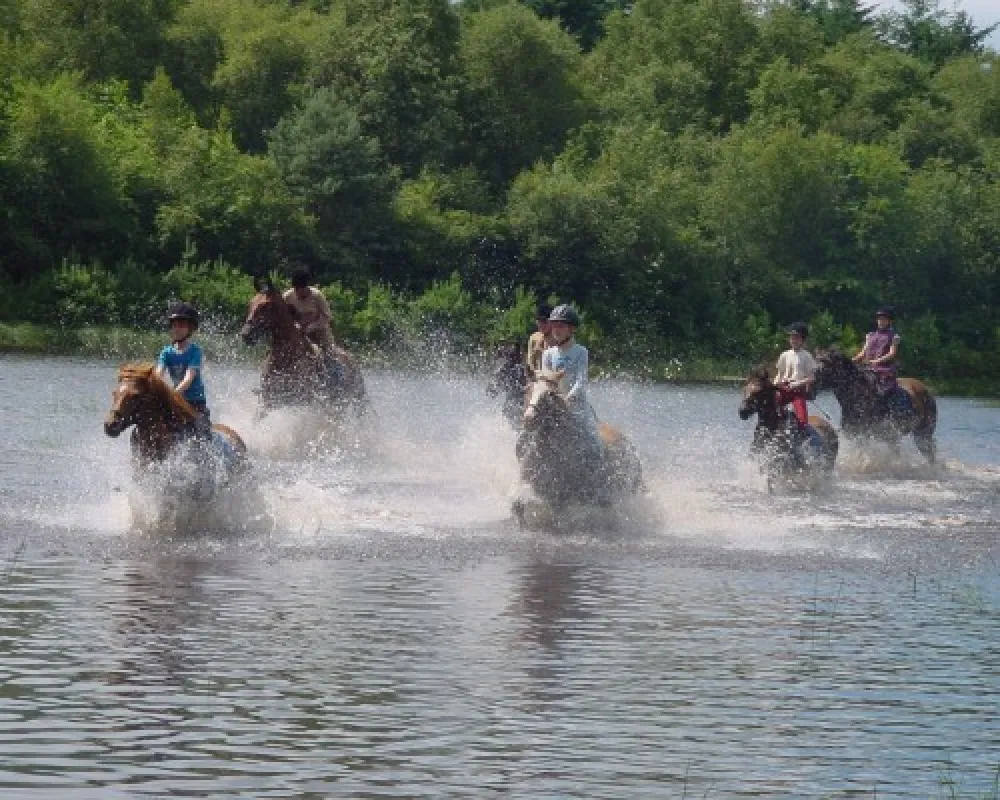 Camping De Bronzen Emmer