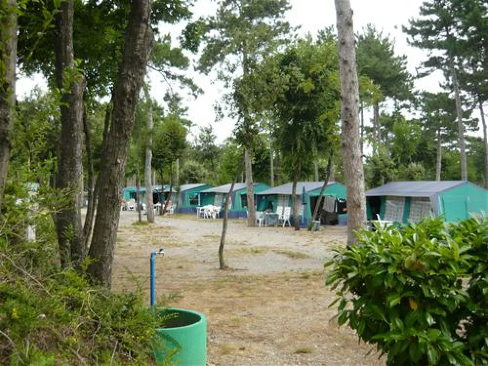 Camping Mare Pineta Baia Sistiana