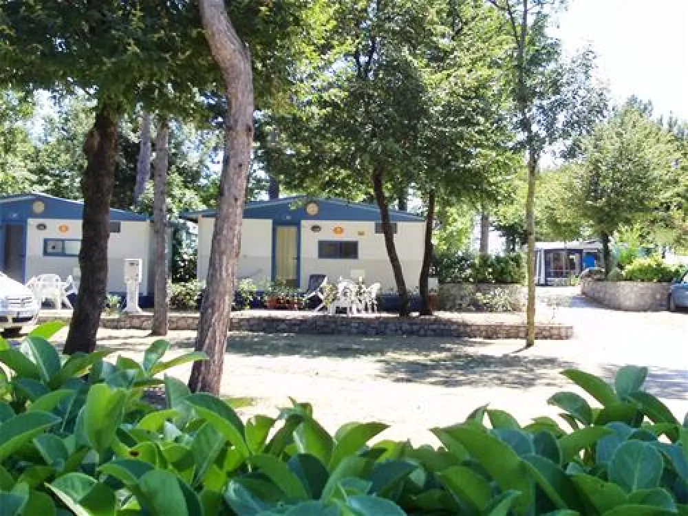 Camping Mare Pineta Baia Sistiana