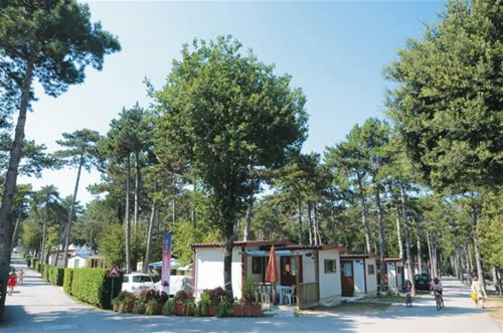 Camping Mare Pineta Baia Sistiana