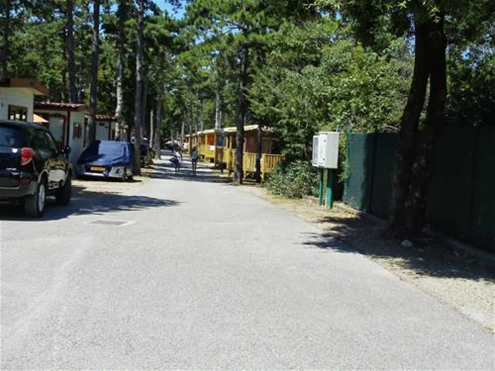Camping Mare Pineta Baia Sistiana