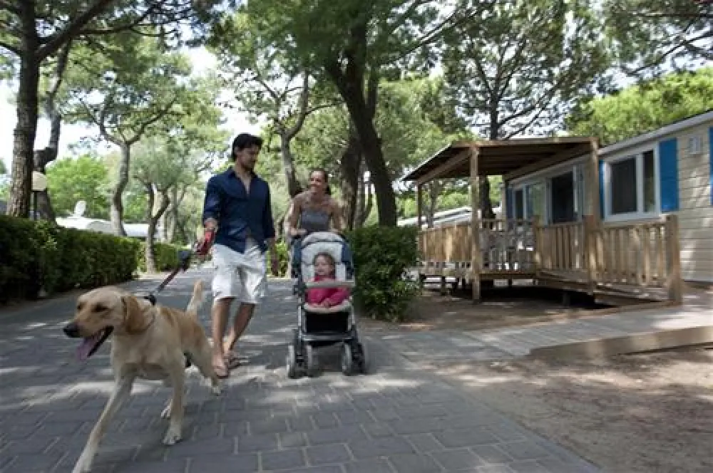 Camping Mare Pineta Baia Sistiana