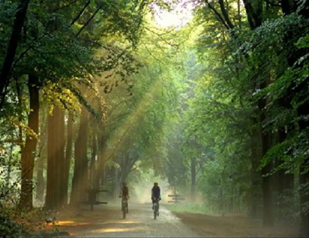 Camping het Koningsdiep