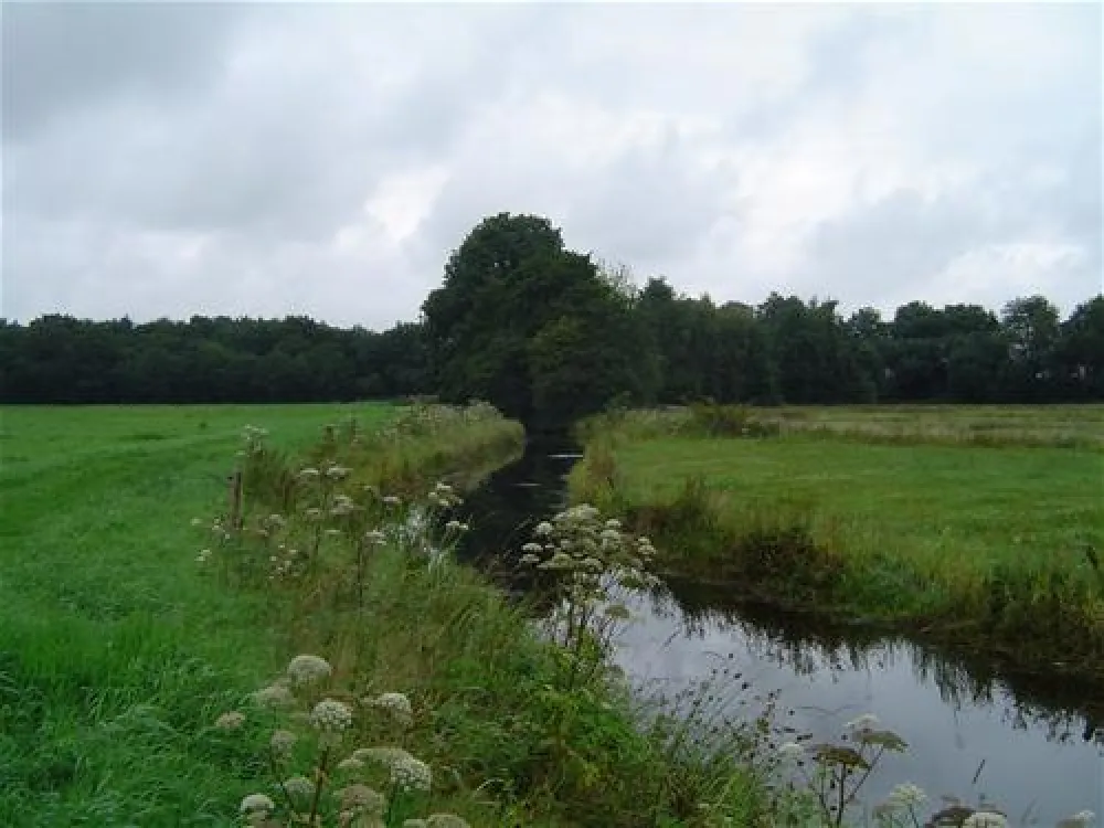 Camping het Koningsdiep