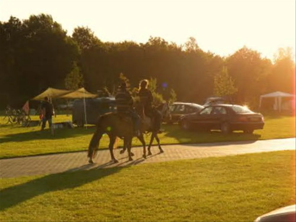 Camping het Koningsdiep