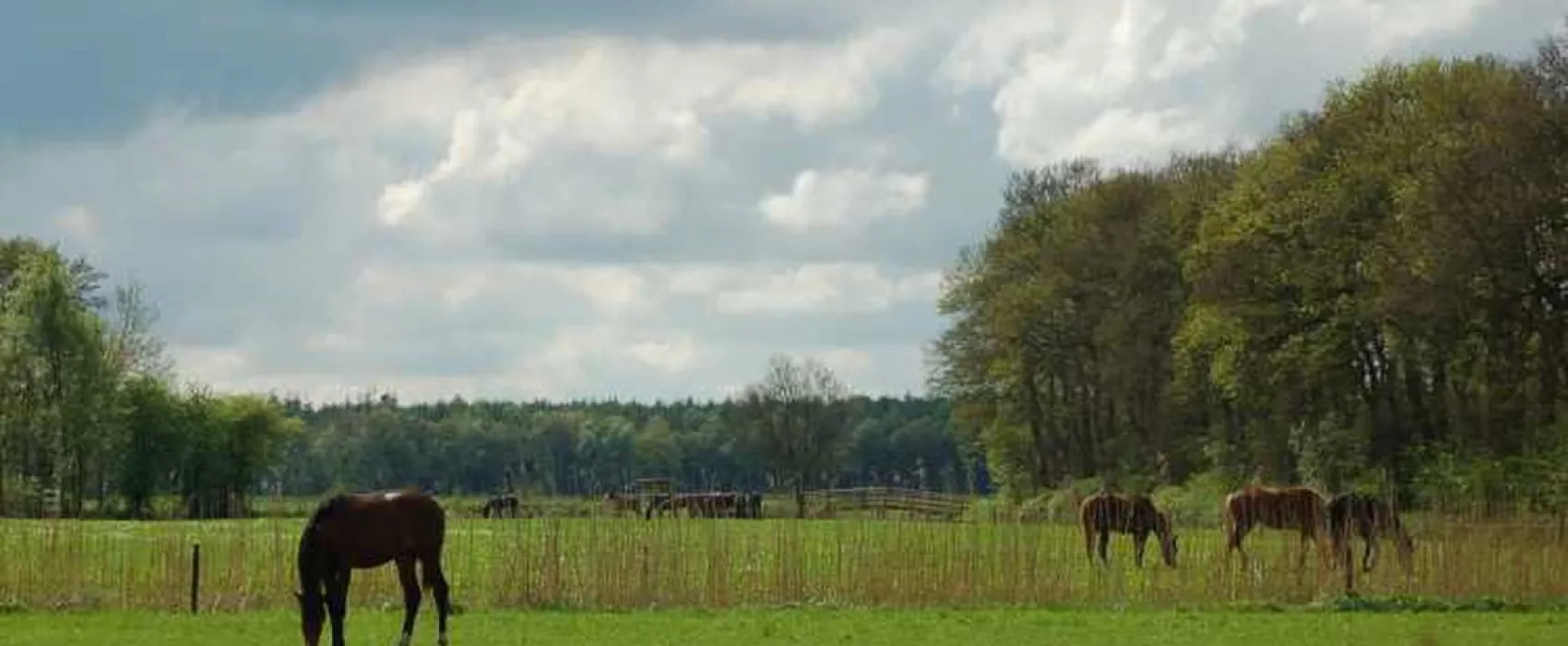 Camping het Koningsdiep