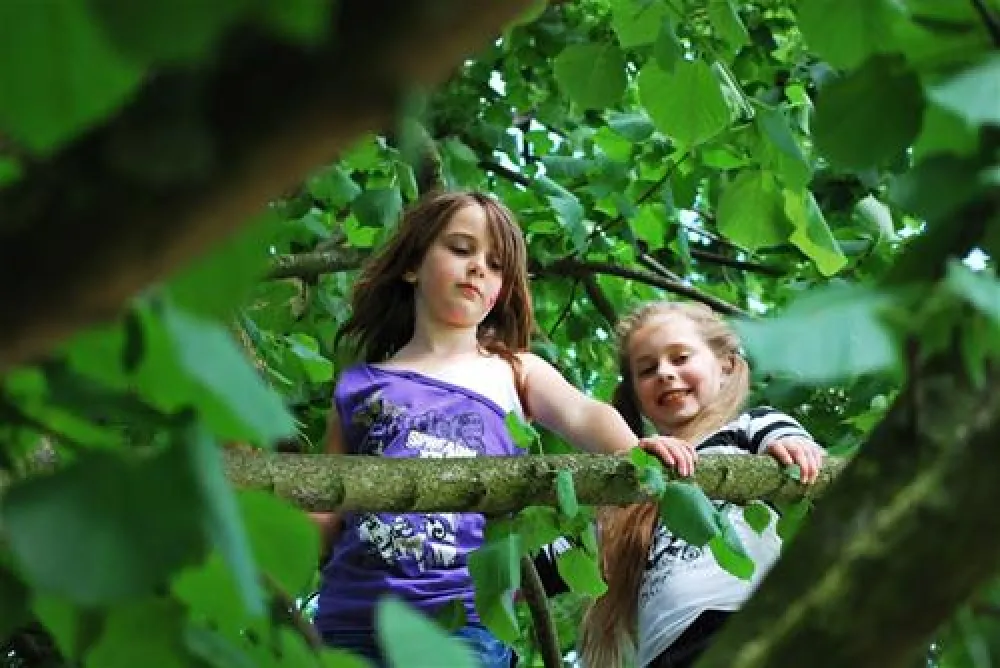 Camping het Koningsdiep