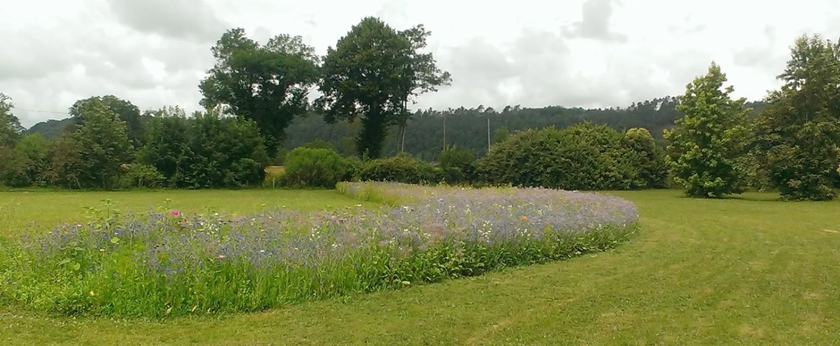 Camping Le Plein Air Neuvicois