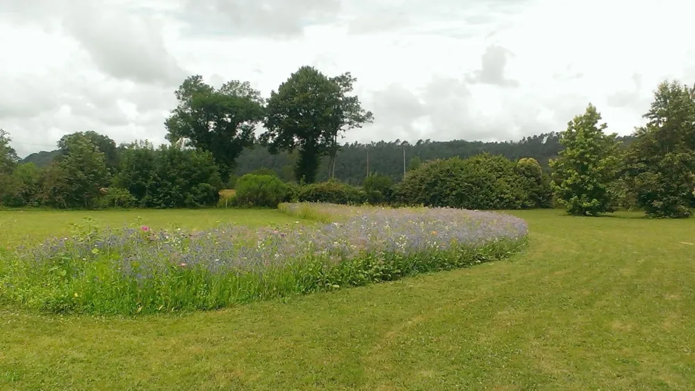 Camping Le Plein Air Neuvicois