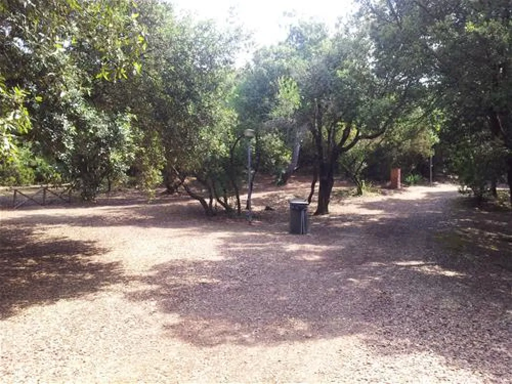 Campeggio Internazionale di Castelfusano