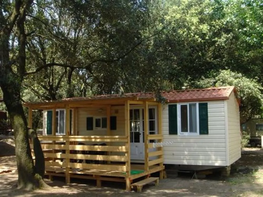 Campeggio Internazionale di Castelfusano