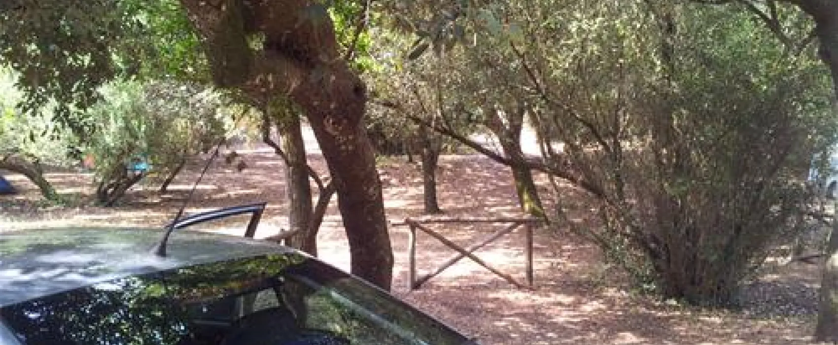 Campeggio Internazionale di Castelfusano