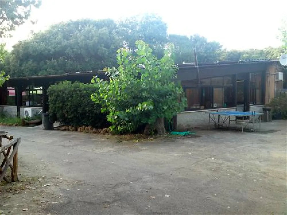 Campeggio Internazionale di Castelfusano