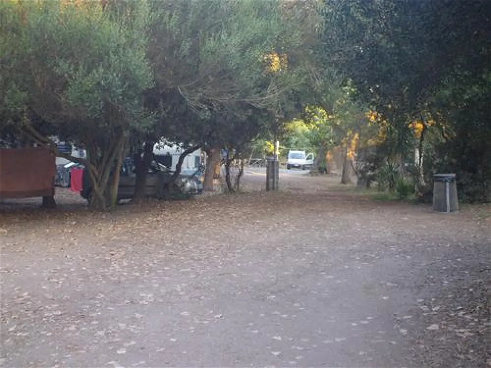 Campeggio Internazionale di Castelfusano