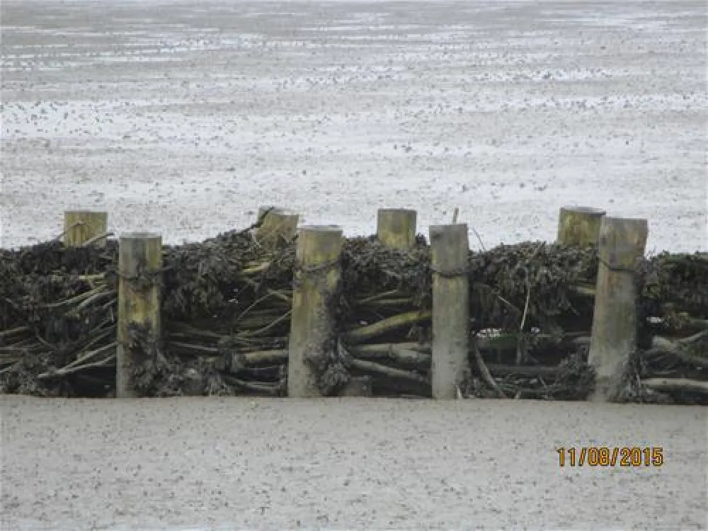 Camping Am alten Seedeich