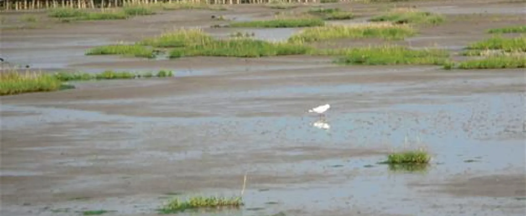 Camping Am alten Seedeich