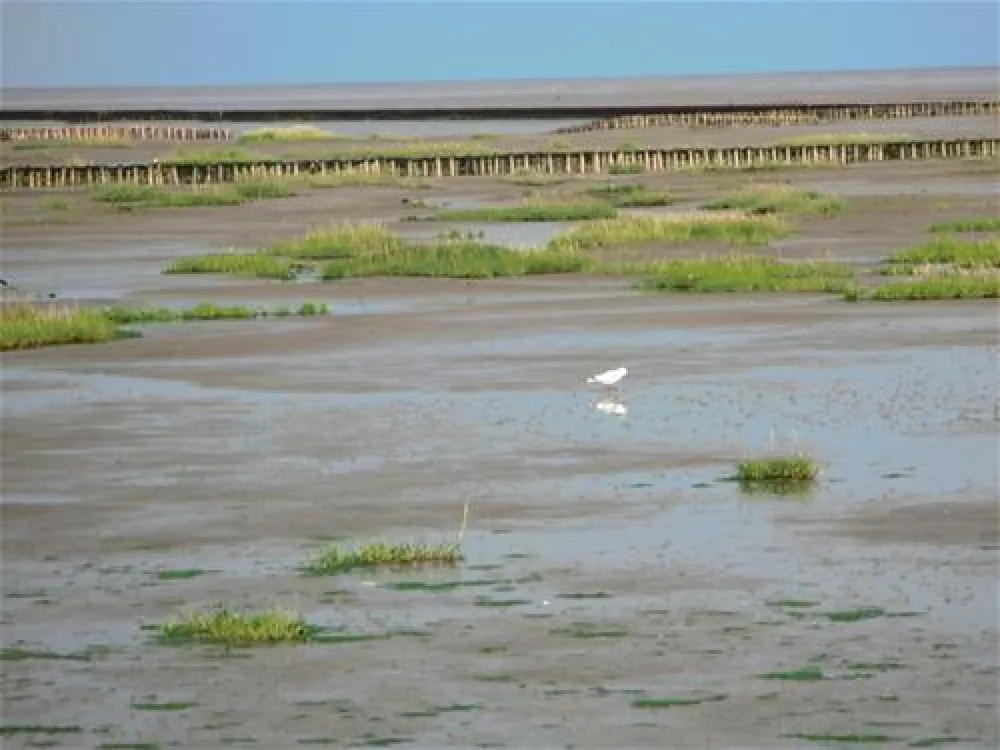 Camping Am alten Seedeich