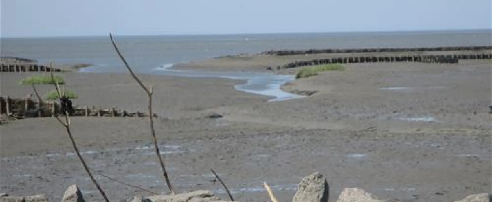 Camping Am alten Seedeich