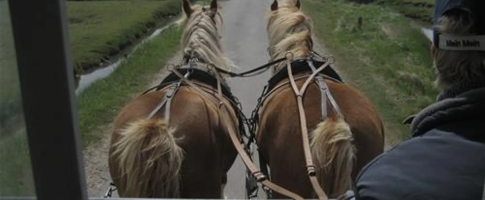 Camping Elisabeth-Sophien-Koog