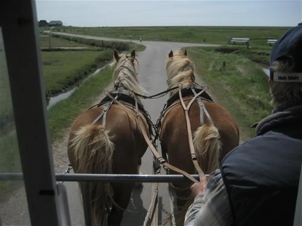 Camping Elisabeth-Sophien-Koog