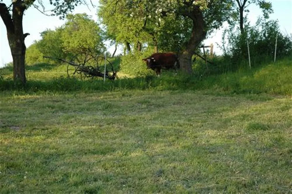 Camping Zorza Poranna