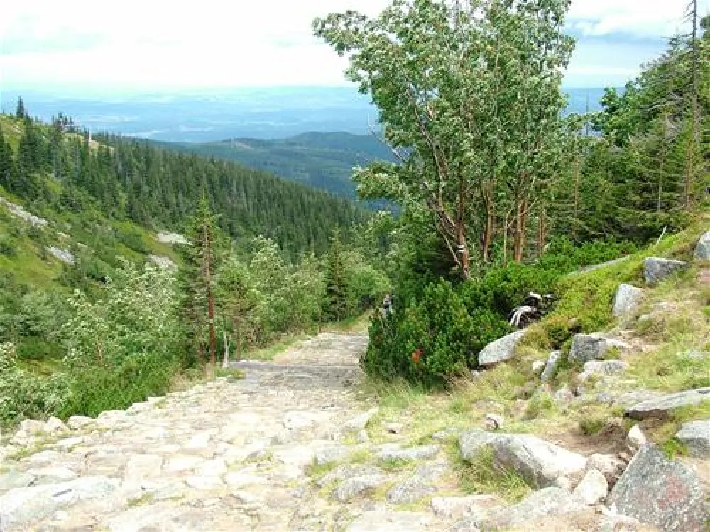 Camping Zorza Poranna