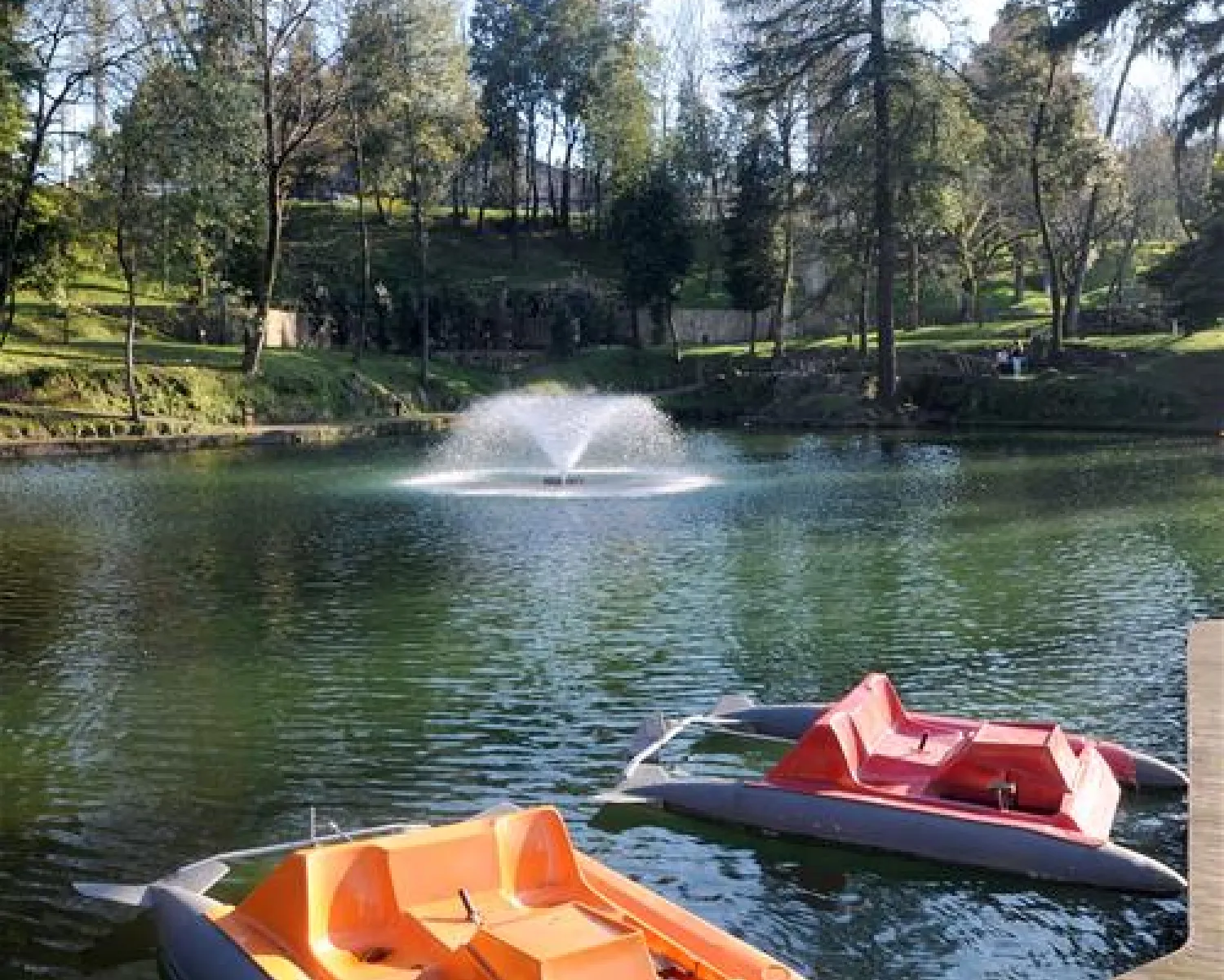 CAMPING BRAGA in Portugal - Spottocamp - Spottocamp