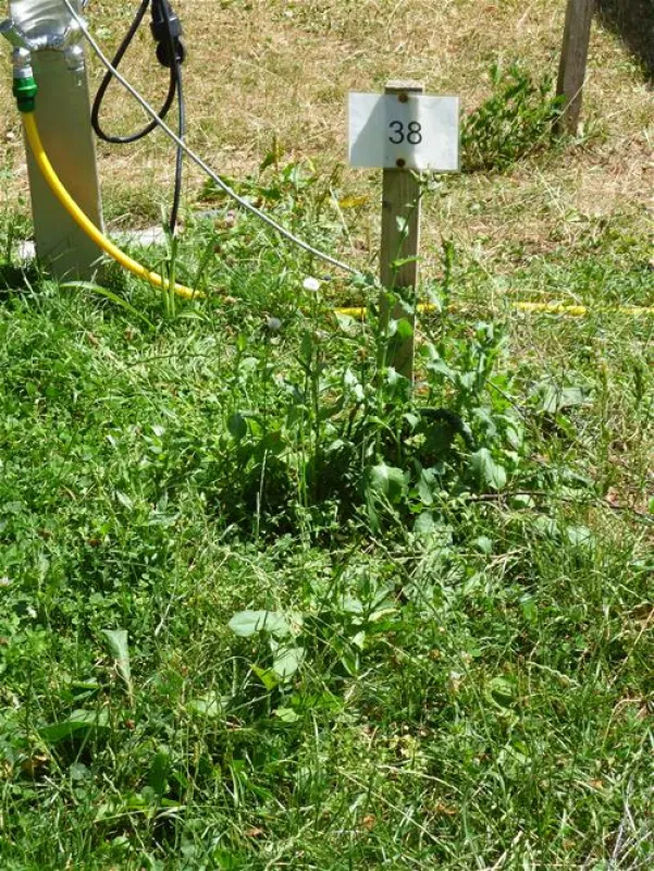 Camping am Pilsensee