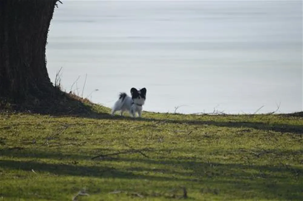 Camping am Pilsensee