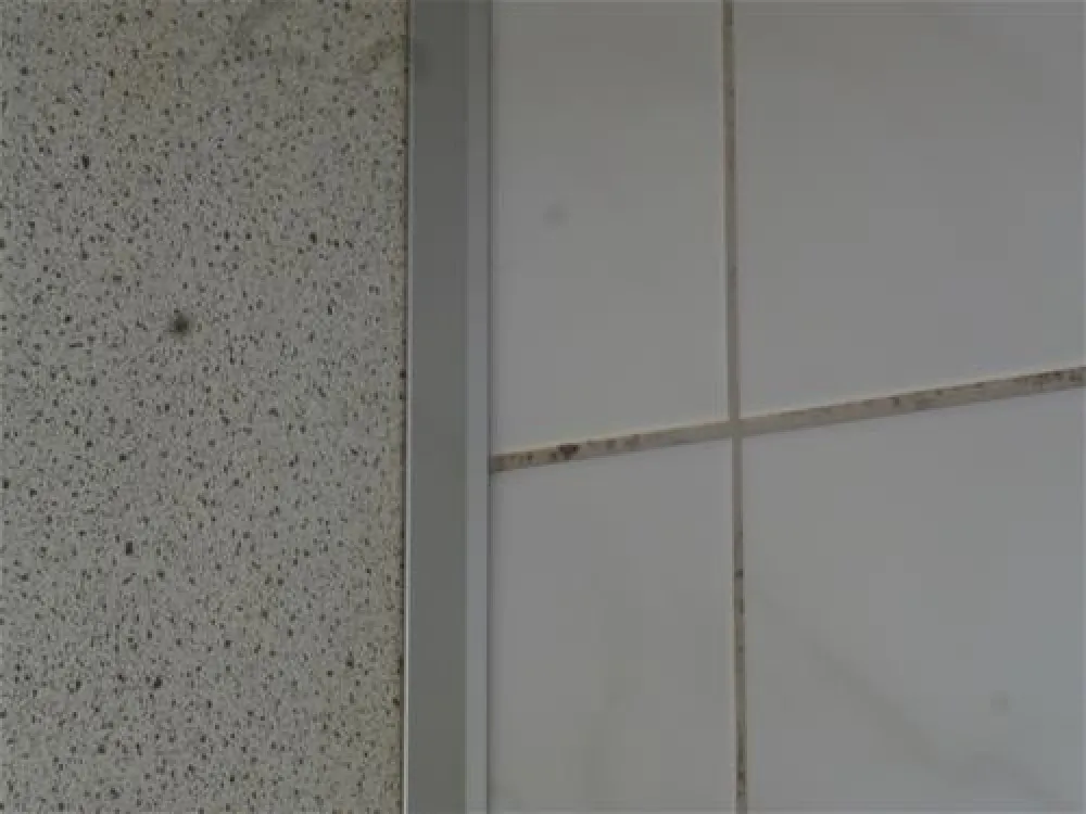 Camping am Pilsensee