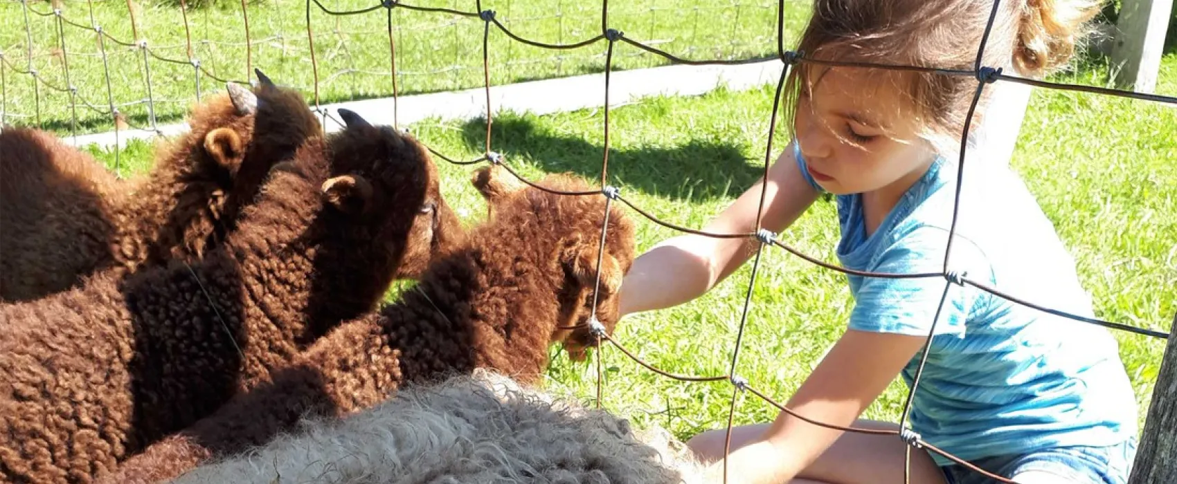 Molecaten Park Wijde Blick