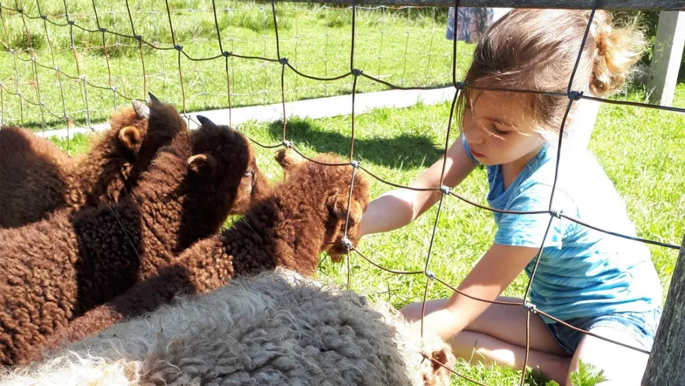 Molecaten Park Wijde Blick