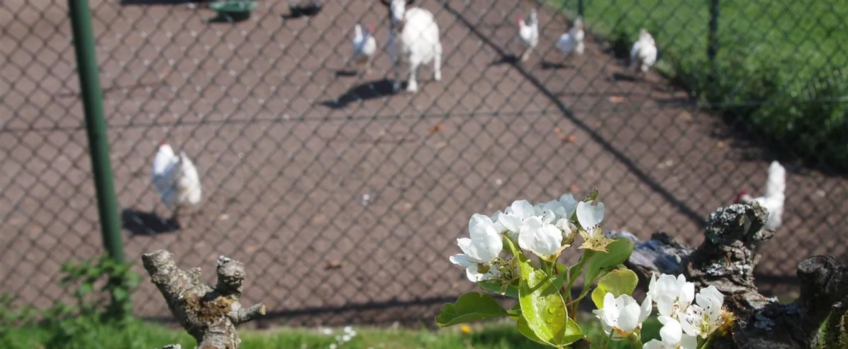 Molecaten Park Wijde Blick