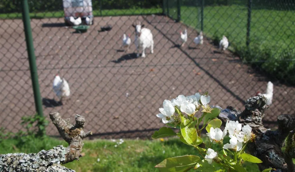 Molecaten Park Wijde Blick