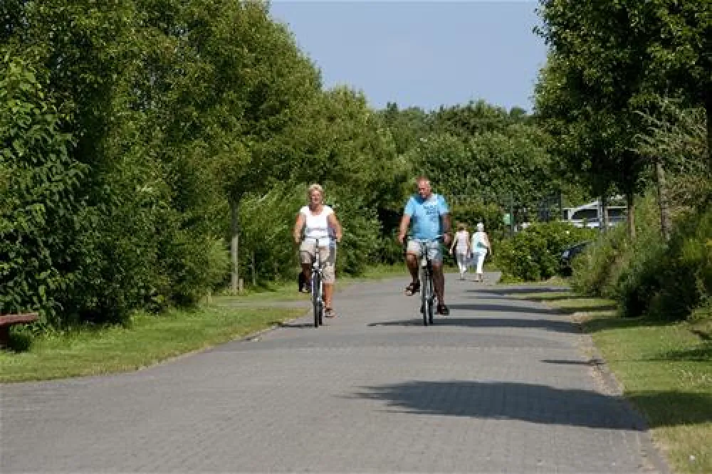 Molecaten Park Wijde Blick