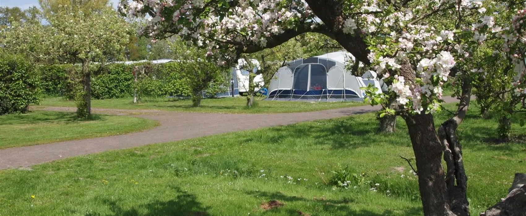 Molecaten Park Wijde Blick