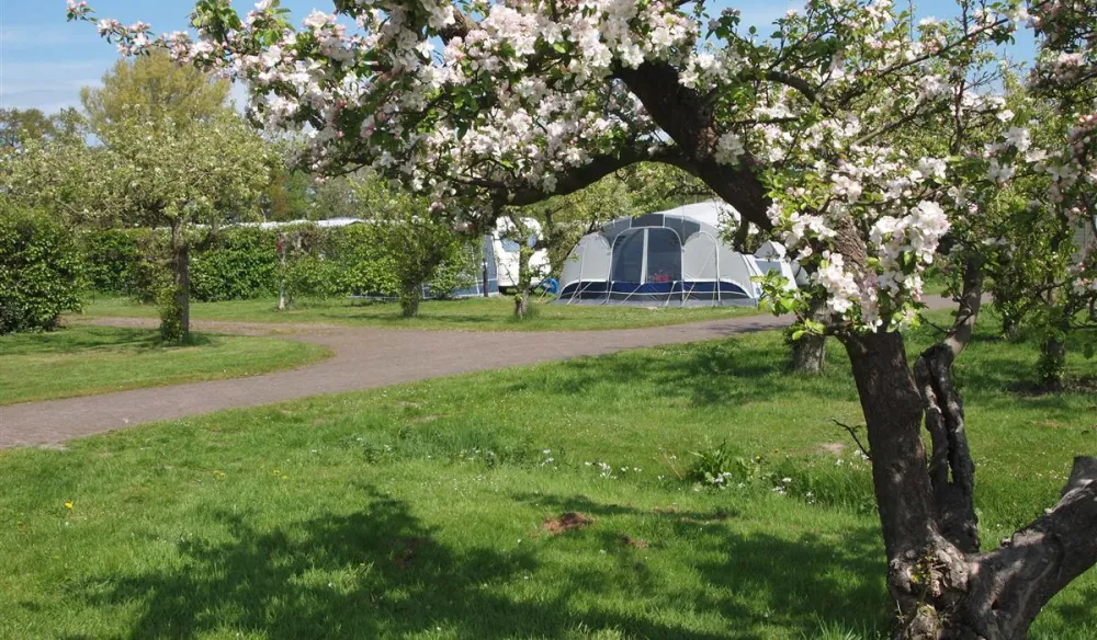 Molecaten Park Wijde Blick