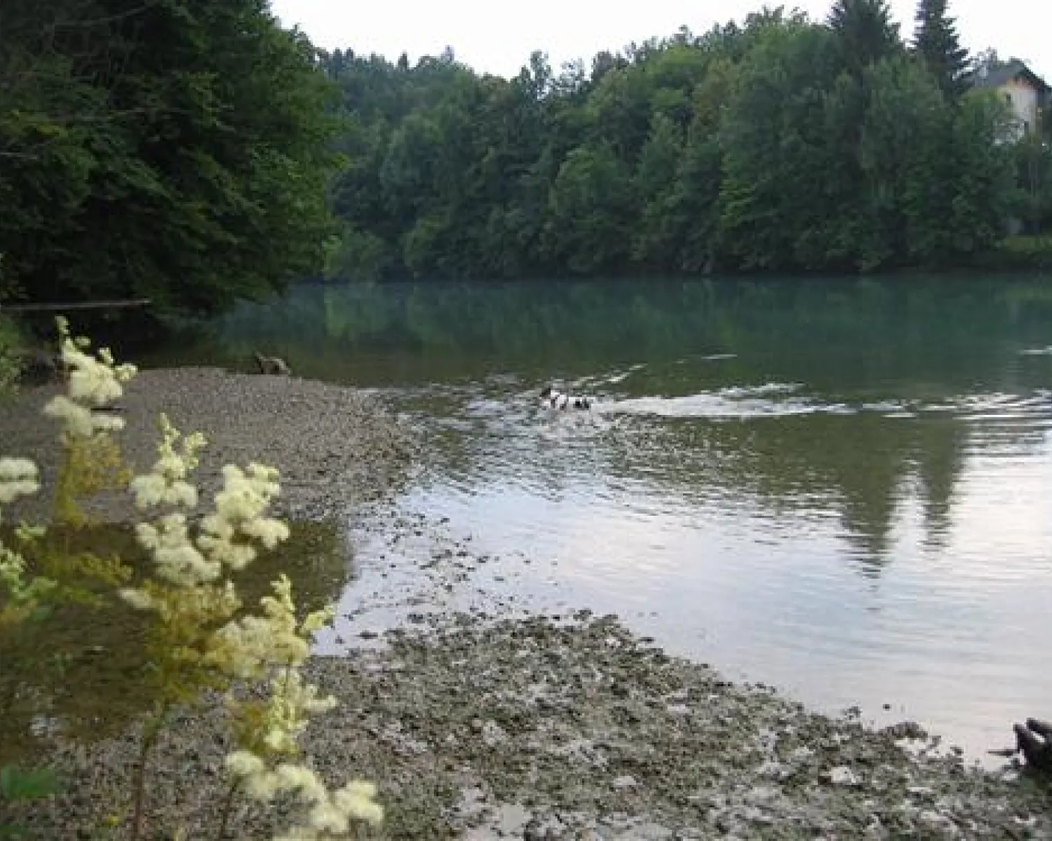 Camping Smlednik in Slovenia - Spottocamp - Spottocamp