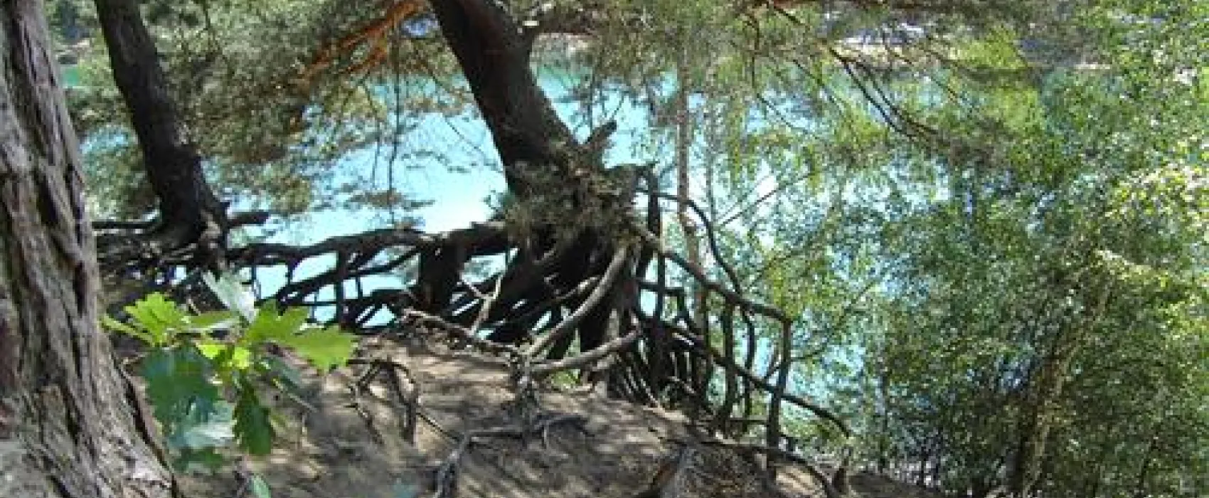 Campingplatz Waldbad Zeischa