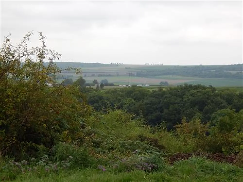 Camping Gutenbornerhof