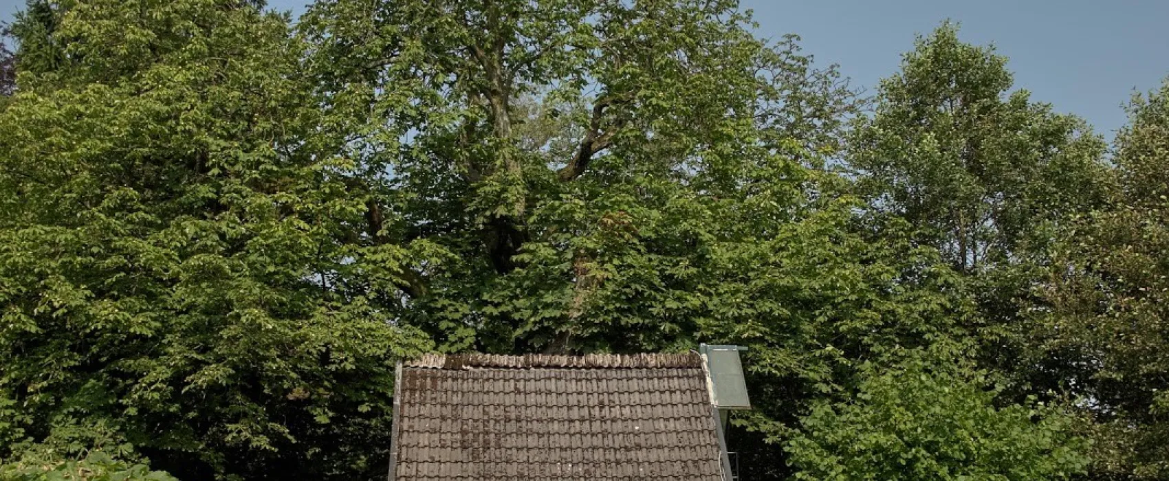 Campingplatz Alte Löweninsel