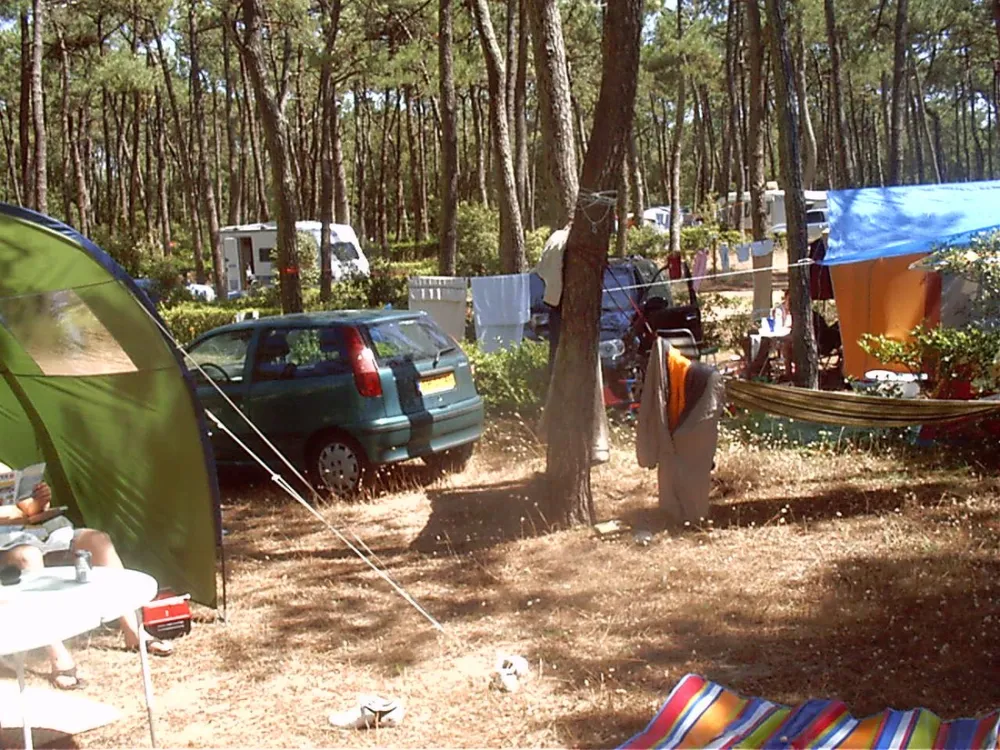 Camping Municipal Plage De Riez