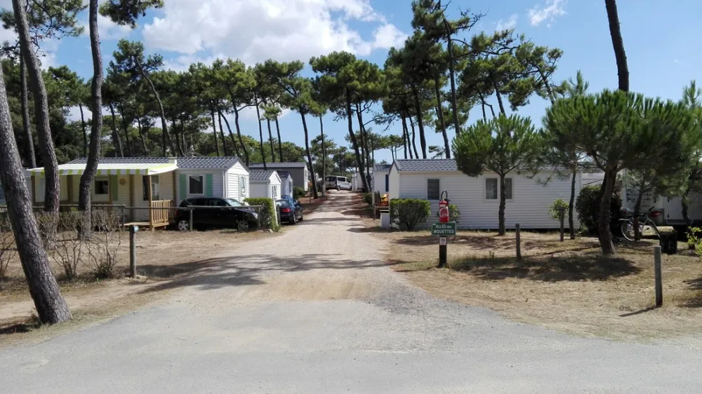 Camping Municipal Plage De Riez