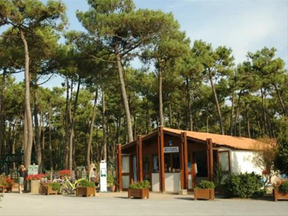 Camping Municipal Plage De Riez